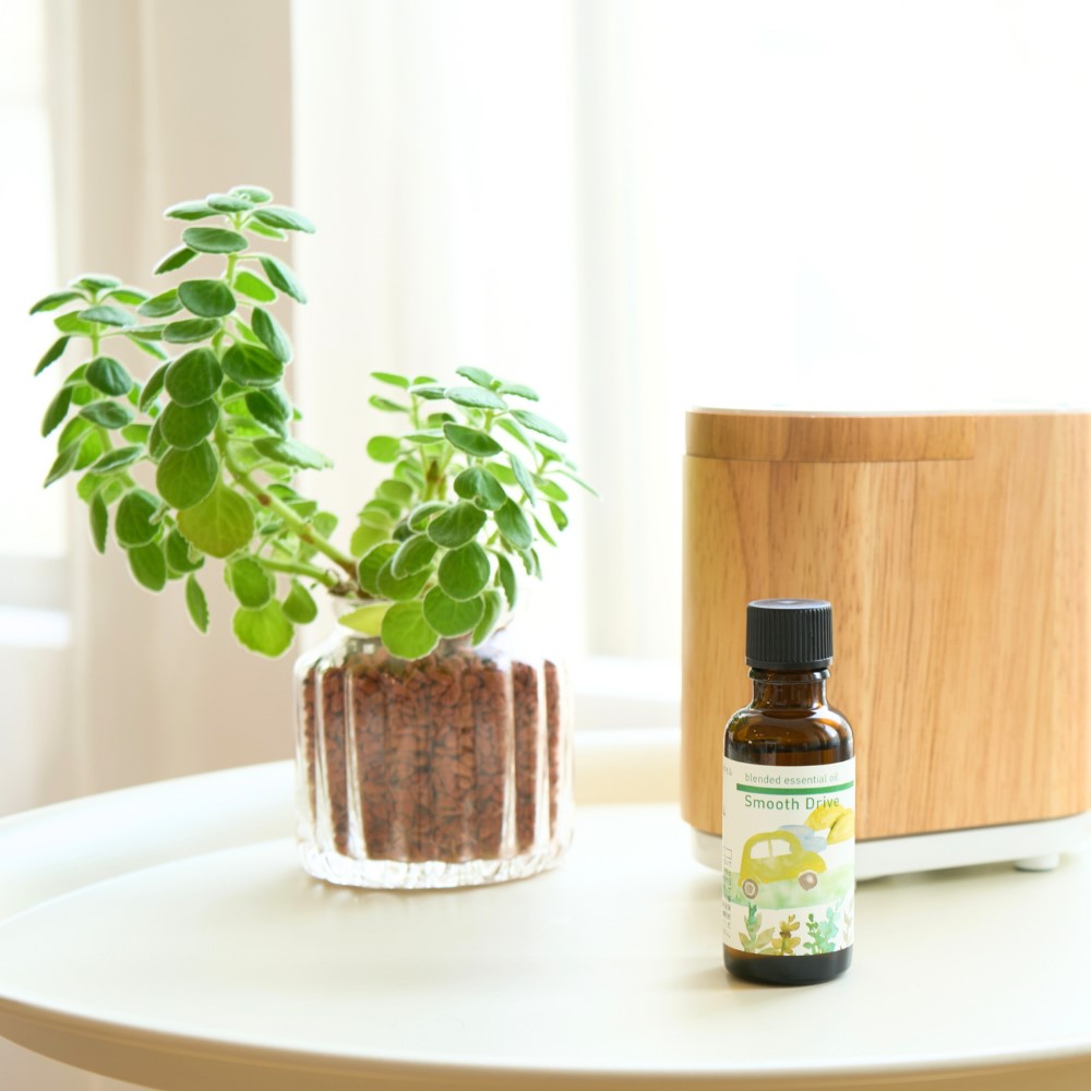 Smooth Drive Essential Oil Blend
