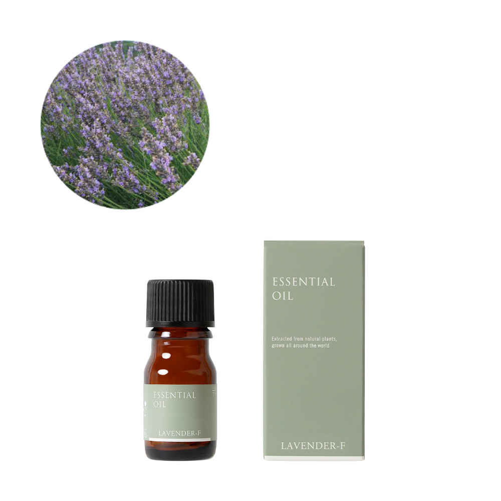 Lavender from France Essential Oil