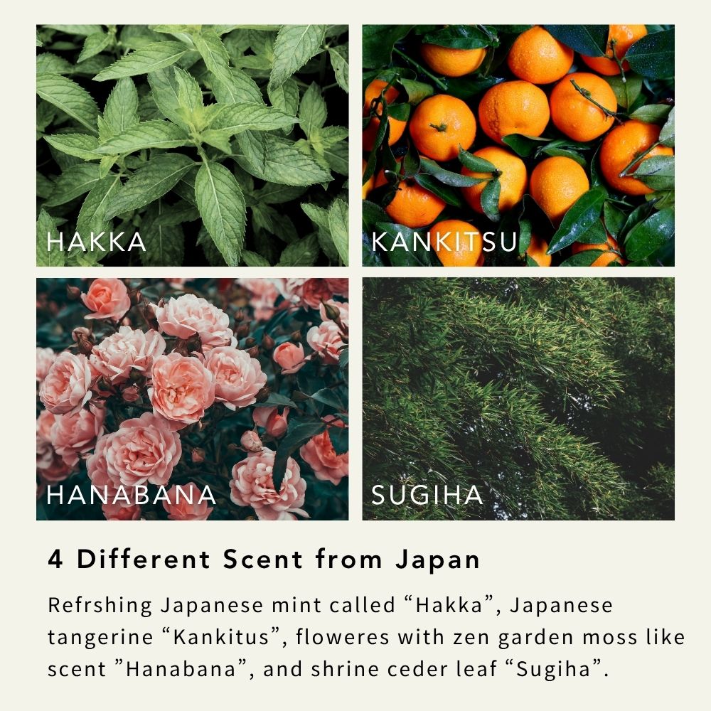 Japan Fragrance Incense Hanabana 花々 10 Sticks with Plate and