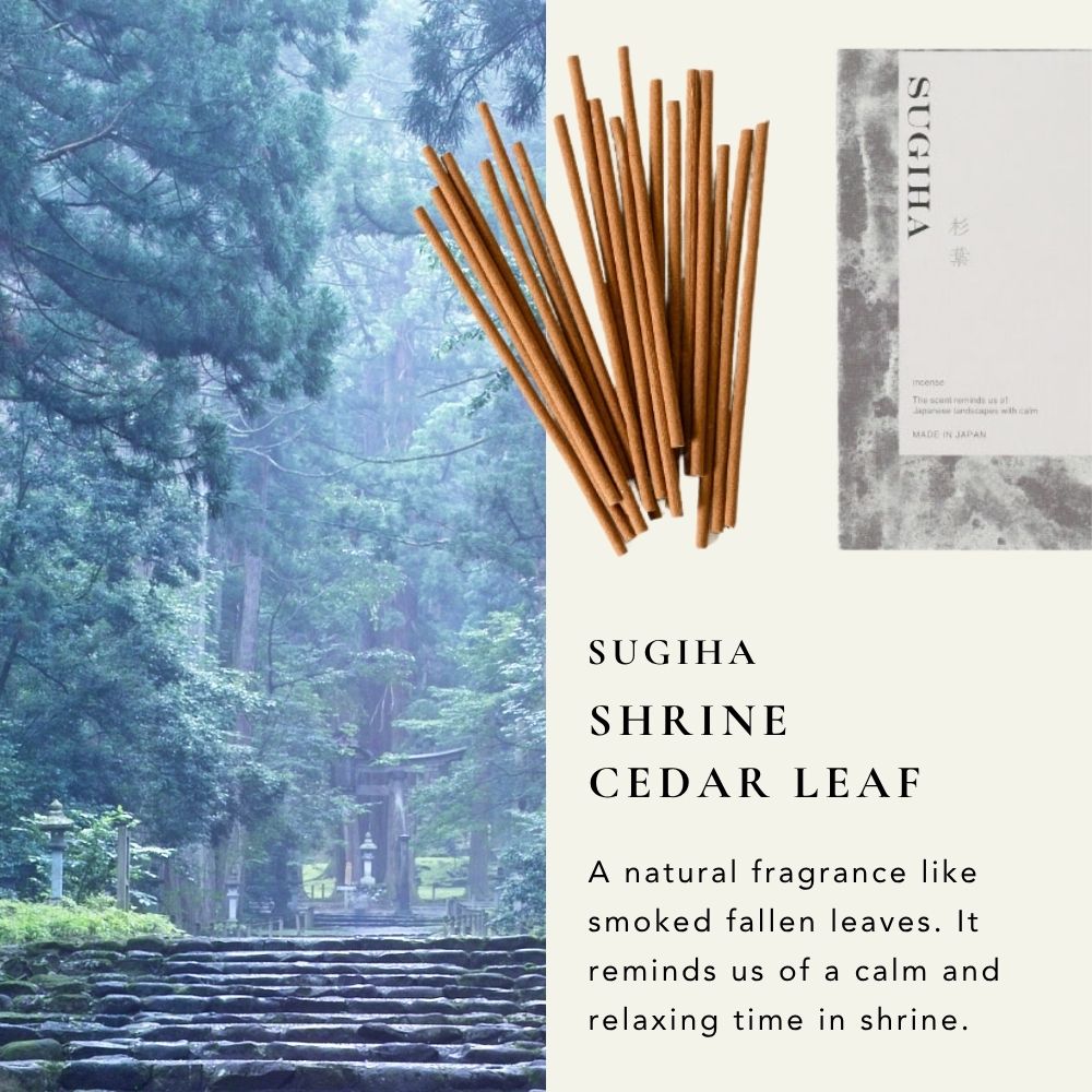 Japan Fragrance Incense Sugiha 杉葉20 Sticks