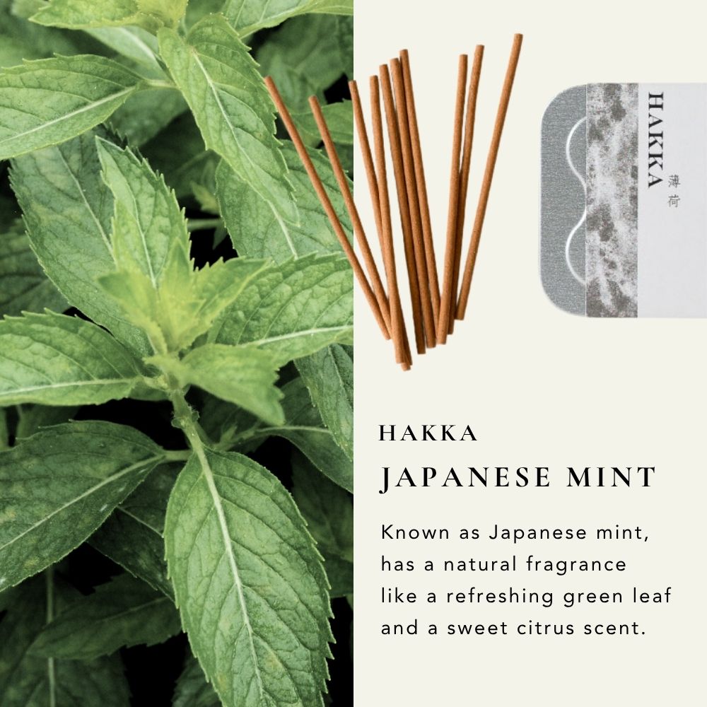 Japan Fragrance Incense Hakka 薄荷 20 Sticks – SEIKATSU no KI
