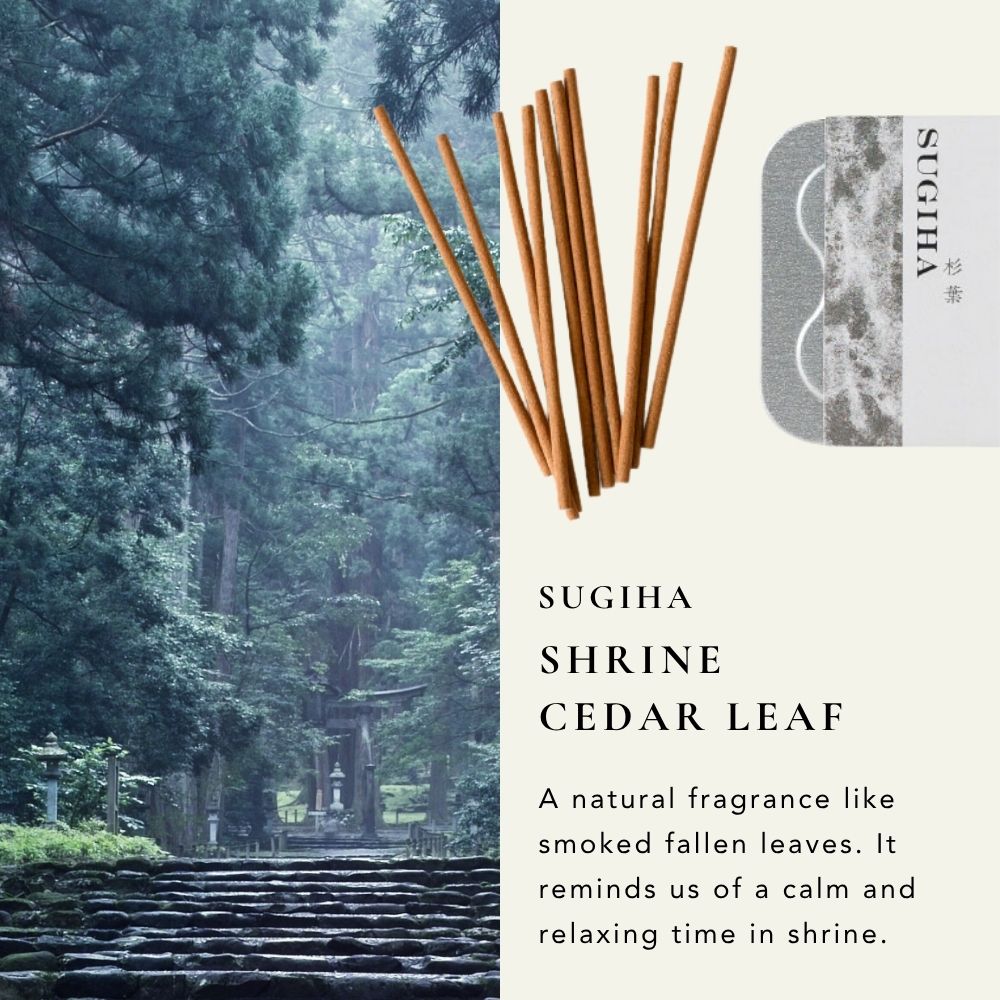 Japan Fragrance Incense Sugiha 杉葉 10 Sticks with Plate and Holder