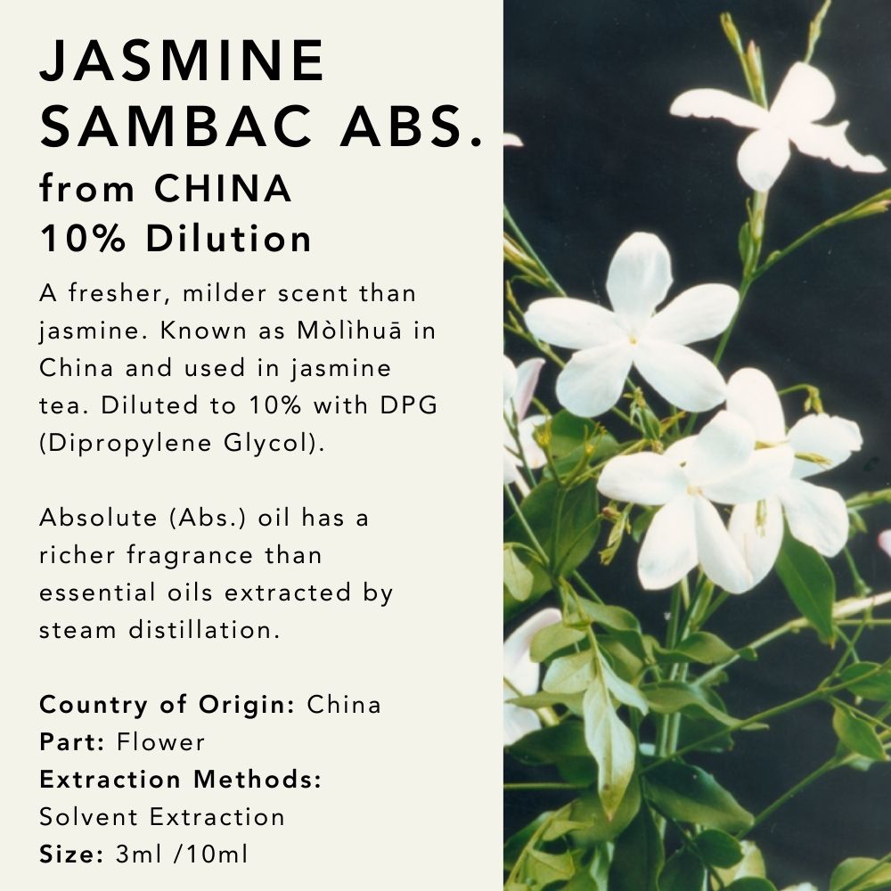 Jasmine Sambac Abs. (10% dilution) Oil