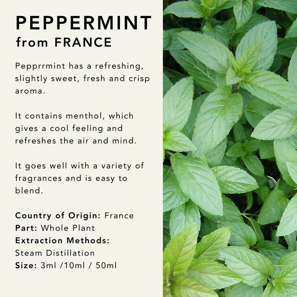 Peppermint Essential Oil