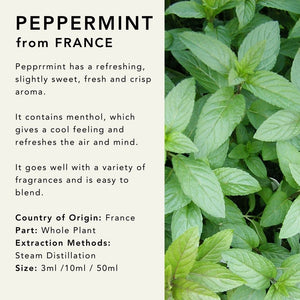 Peppermint Essential Oil