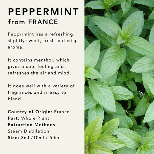 Peppermint Essential Oil