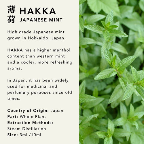 Hakka Japanese Mint Essential Oil