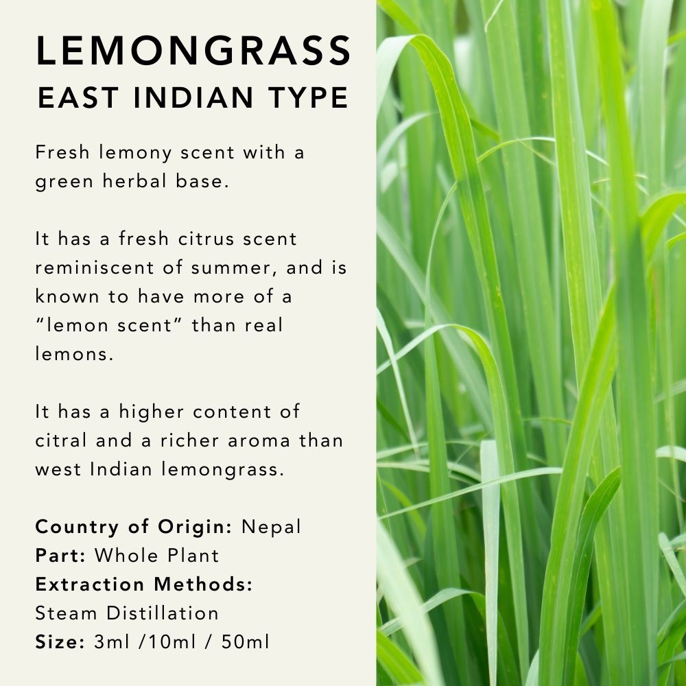 Lemongrass Essential Oil (East Indian type)