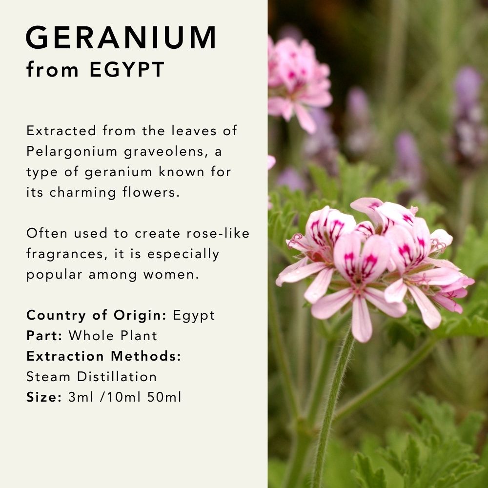 Geranium Essential Oil