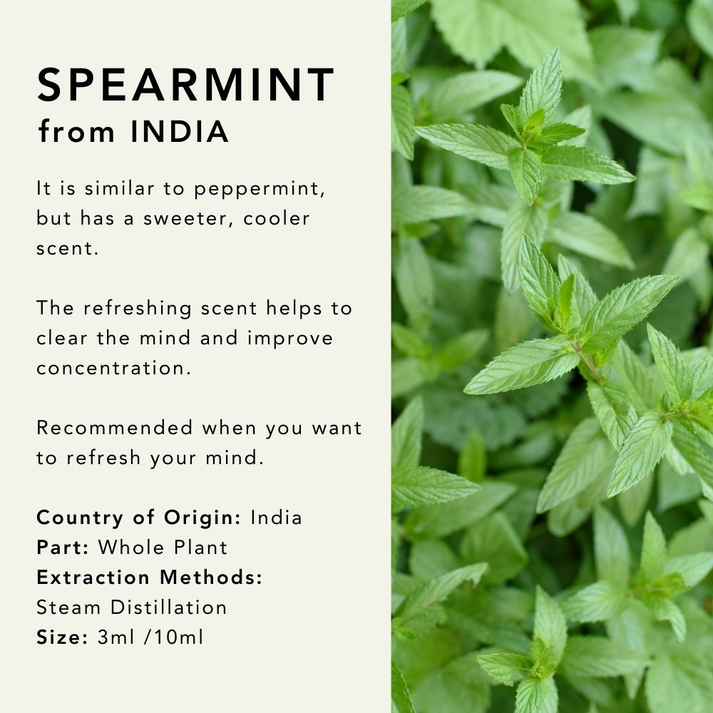 Spearmint Essential Oil