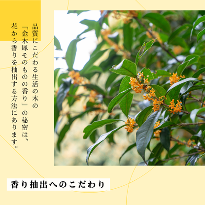 Osmanthus Nail Oil 2ml