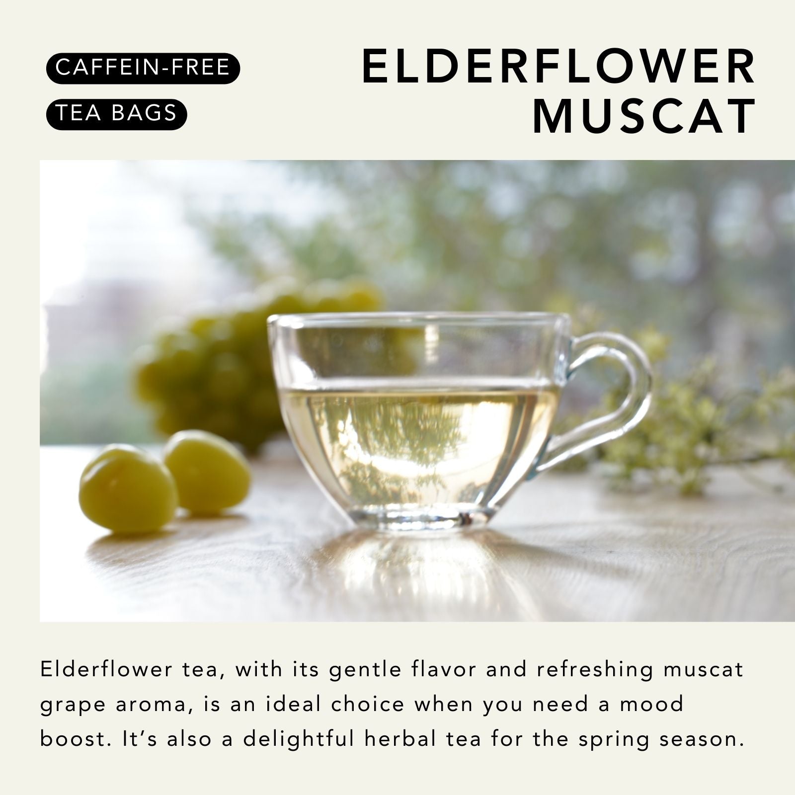 Fruity Herbal Tea Assorted Set 10 Flavors