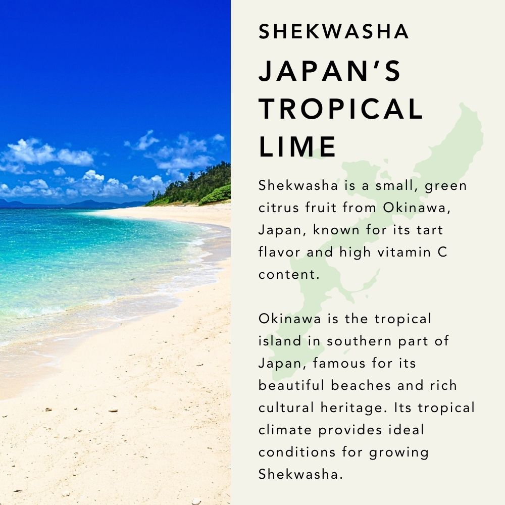 Essential Oil Blend Lime & Shekwasha 5ml